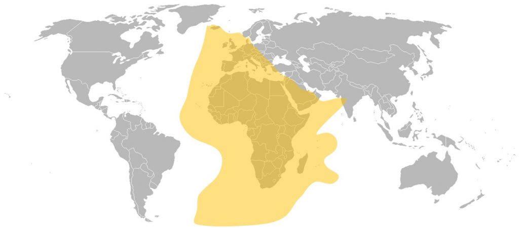 Africasat 1A C-Band Africa-Europe Beam