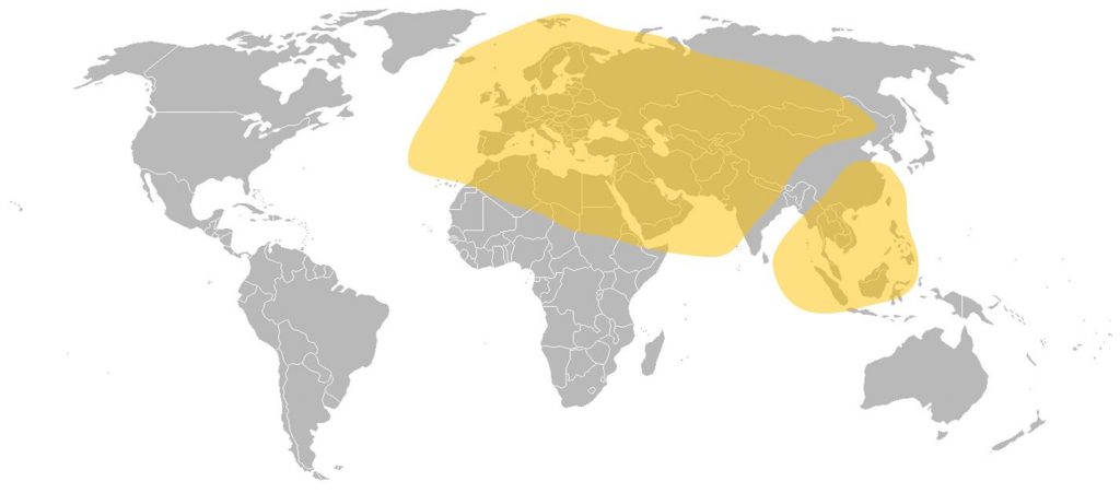 Africasat 1A C-Band Central Asia and Europe Beam