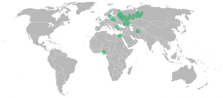 Combined Ka-Band Satellite Coverage