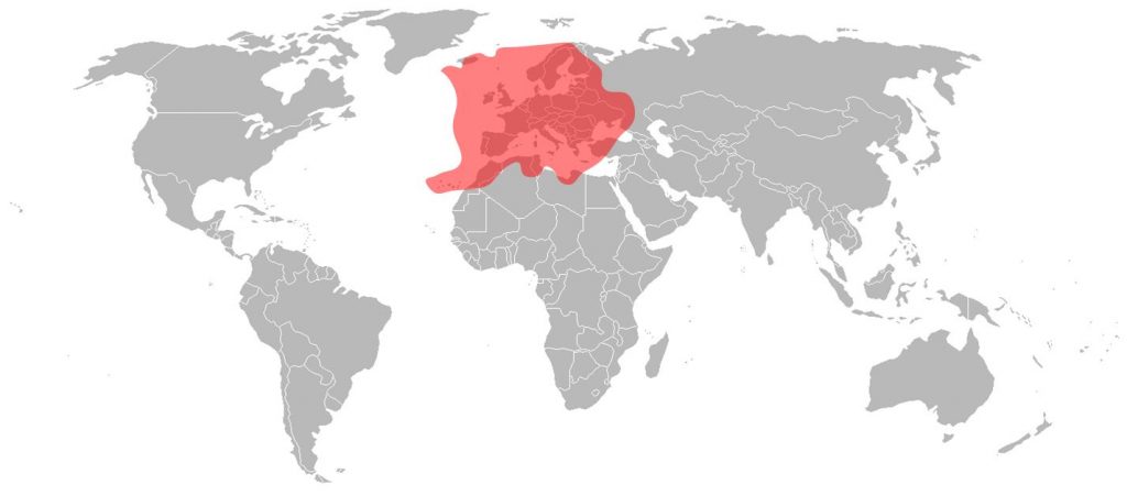 Astra 1M Ku-Band European Beam