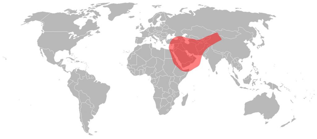 Astra 2 Ku-Band Middle Eastern Beam