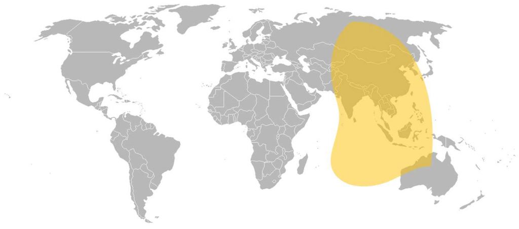 Belintersat 1 C-Band East Beam