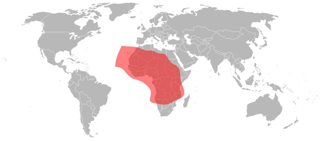 Belintersat 1 Ku-Band Africa Beam