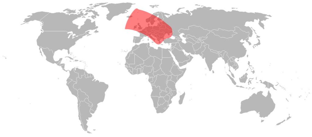 Belintersat 1 Ku-Band Europe Beam