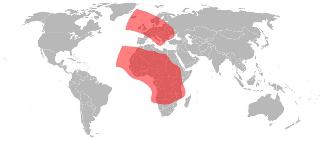 Belintersat 1 Ku-Band Total Coverage