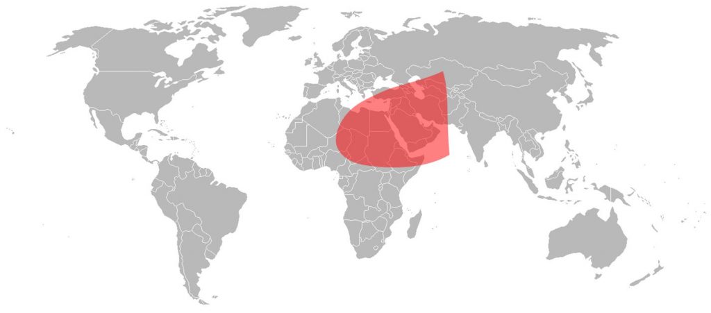 Express AM44 Ku-Band Middle East Beam