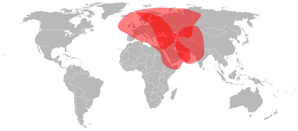 Express AM6 Ku-Band Total Coverage