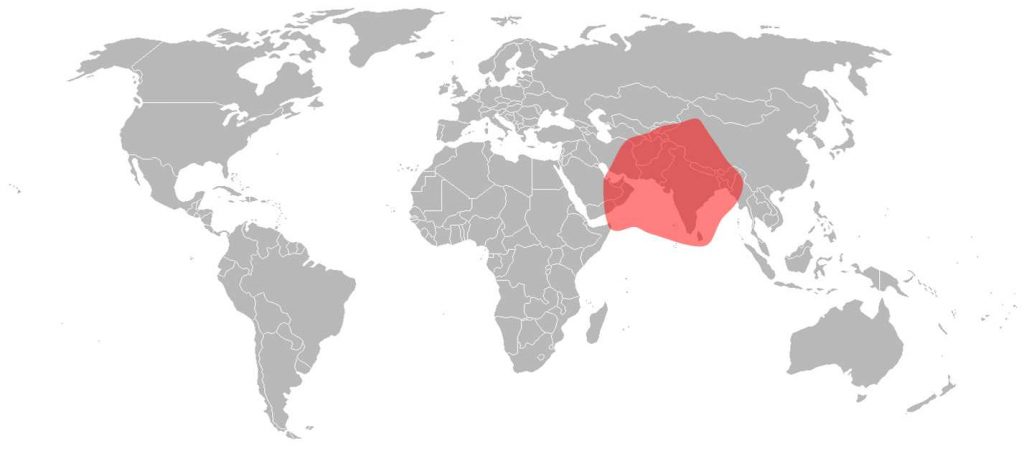 Paksat 1R Ku-Band Pakistan, Central-South Asia Beam