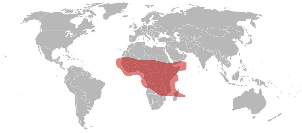 SES-4 Ku-Band West Africa Beam