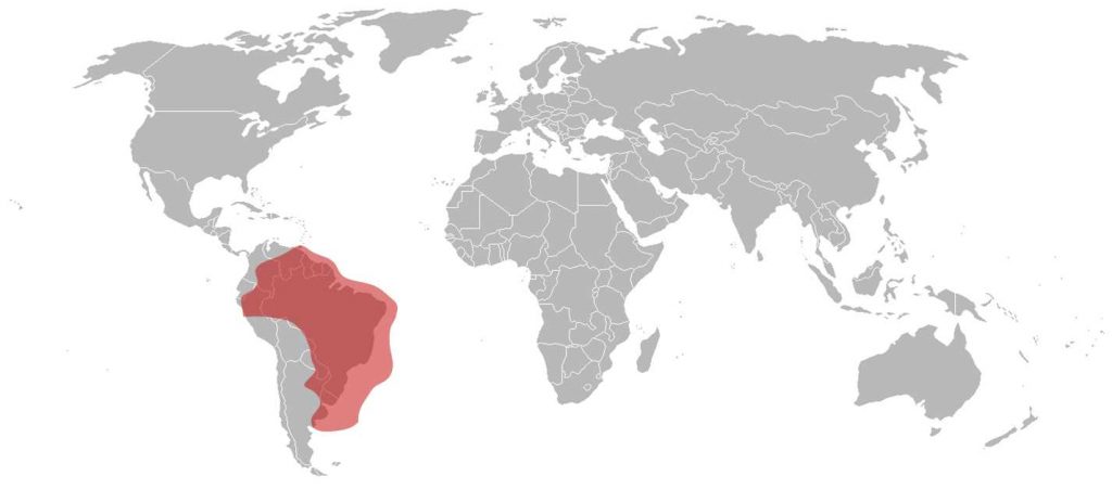 SES-6 Brazil KU-Band Beam