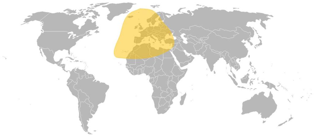SES-6 C-Band Hemi Beam East