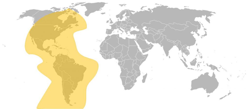 SES-6 C-Band Hemi Beam West