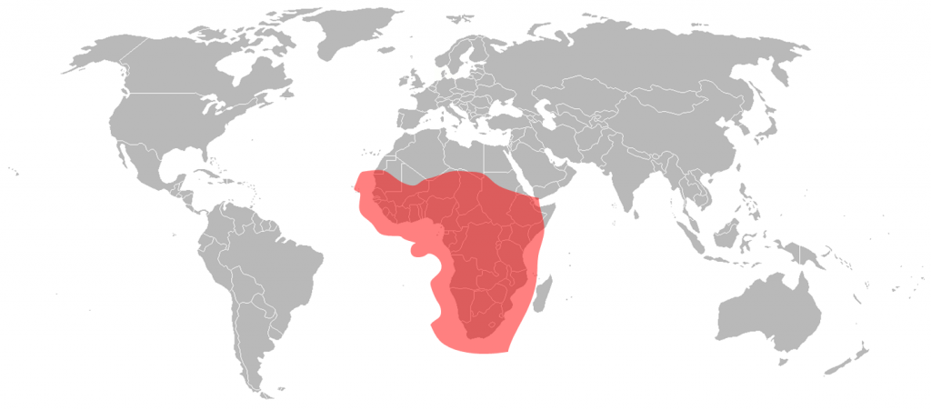 Telstar 11N Ku-Band Africa Beam