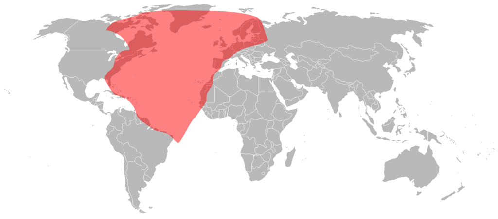 Telstar 11N Ku-Band Atlantic Beam