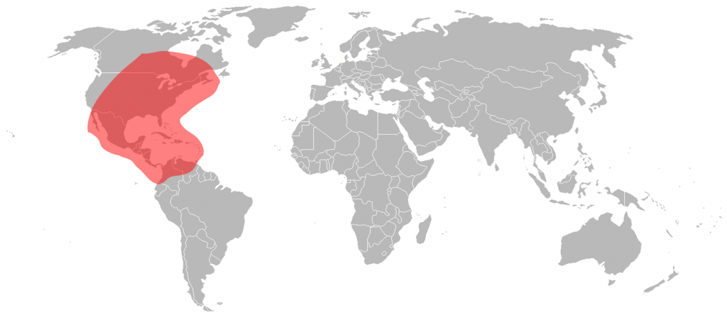 Telstar 11N Ku-Band North and Central America Beam