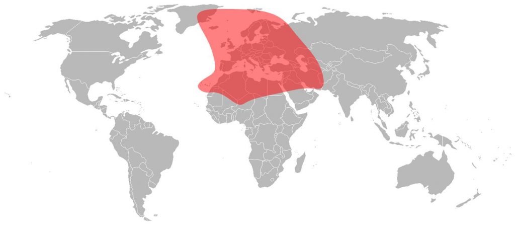 Telstar 12 Vantage Ku-Band Europe and Middle East Beam