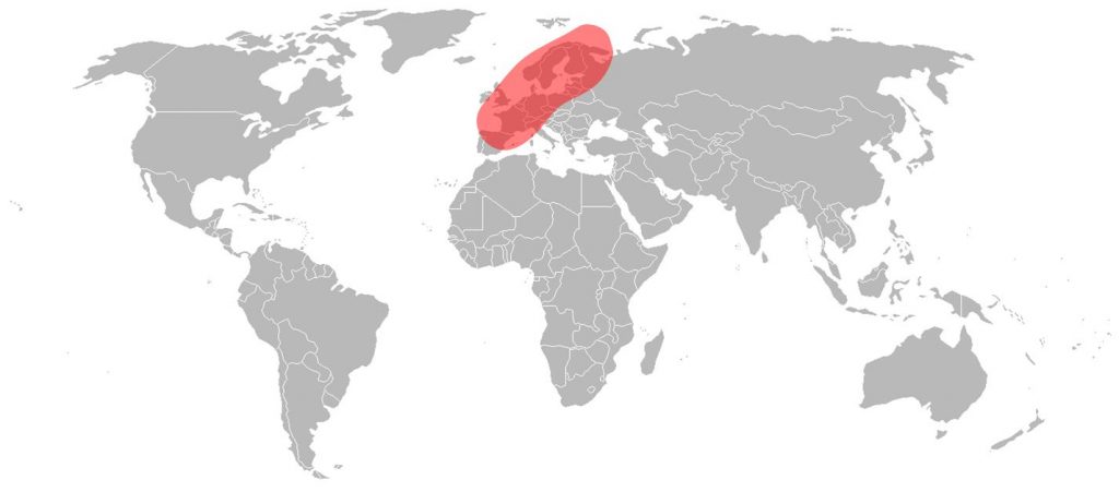 Telstar 12 Vantage Ku-Band European Spot 2 Beam