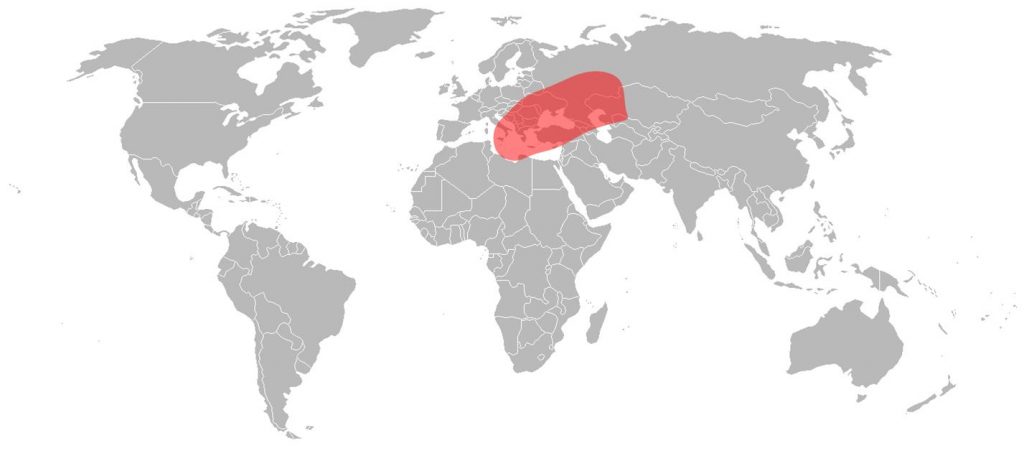 Telstar 12 Vantage Ku-Band European Spot 4 Beam