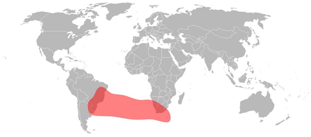 Telstar 12 Vantage Ku-Band South Atlantic Beam