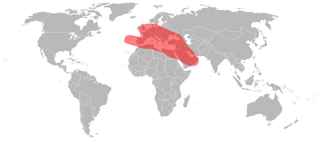 Yamal 402 Ku-Band European Beam