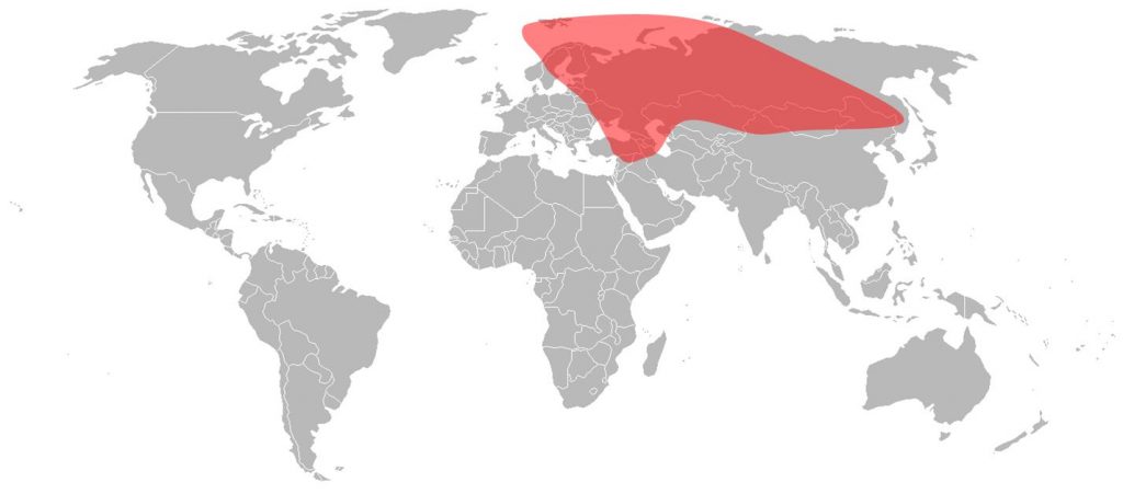Yamal 402 Ku-Band Russian Beam