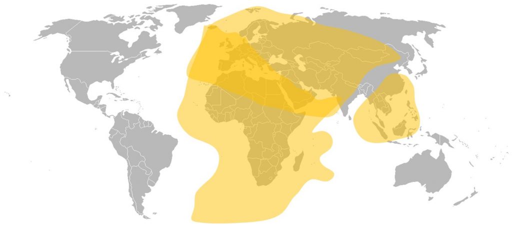 Africasat 1A C-Band Total Coverage