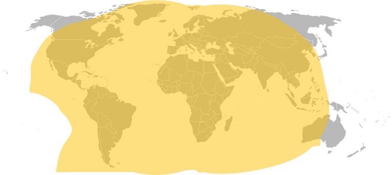 Total Satellite Coverage C Band