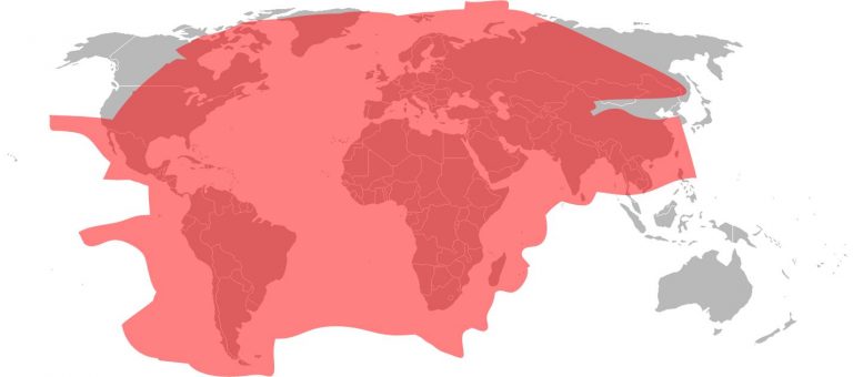 Total Satellite Coverage Ku Band