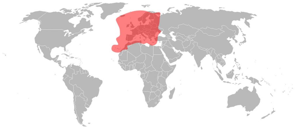 Astra 1KR Ku-Band European Beam