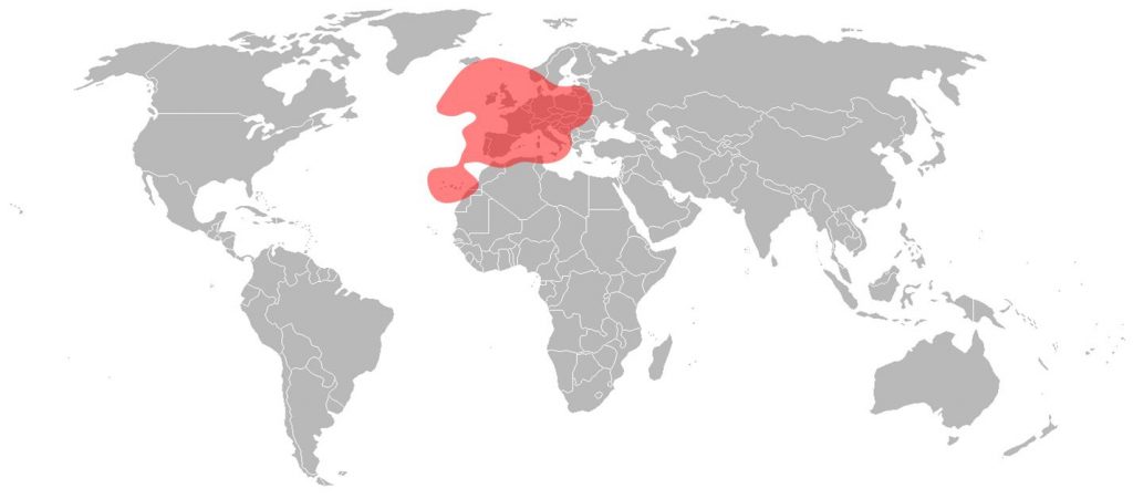 Astra 2 Ku-Band European Beam