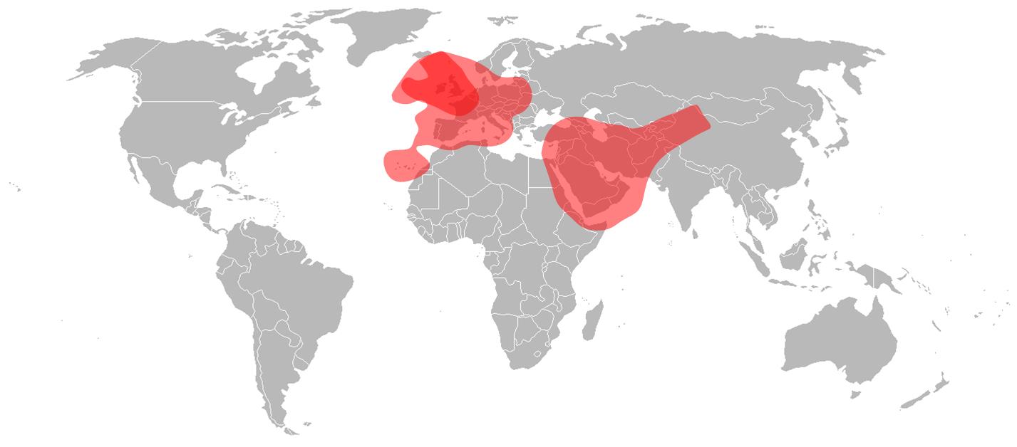 Astra 2 (28.2° East) Satellite Mediaport Services Ltd.