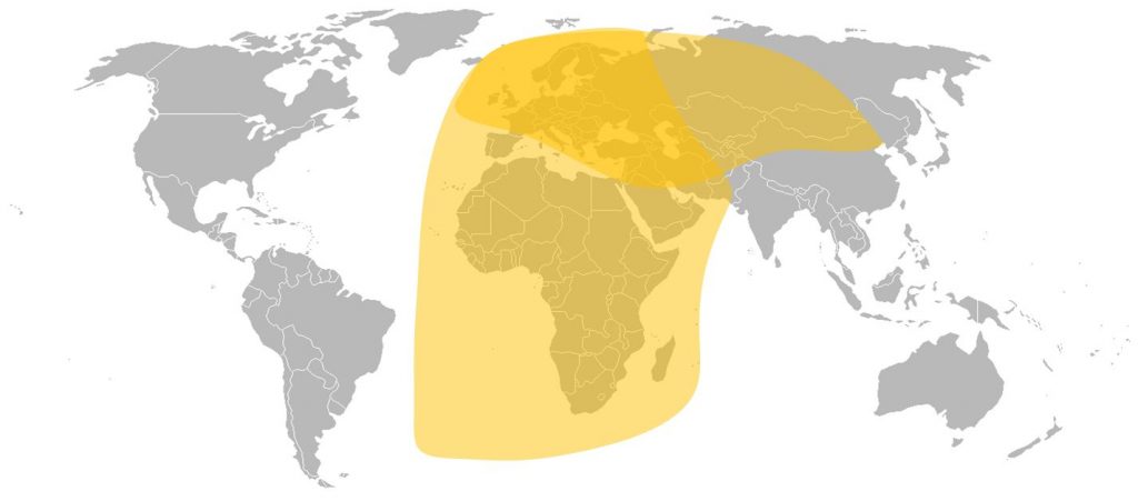 Express AM6 C-Band Total Coverage