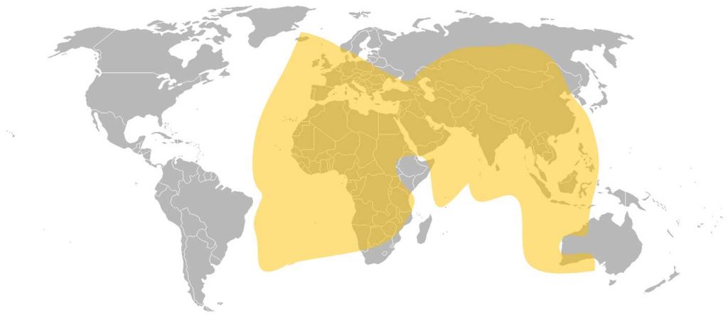 Intelsat 10 C-Band Global Beam