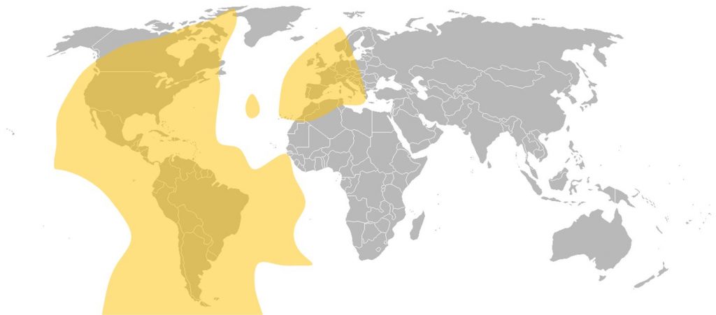 Intelsat 21 C-Band West Hemi Beam