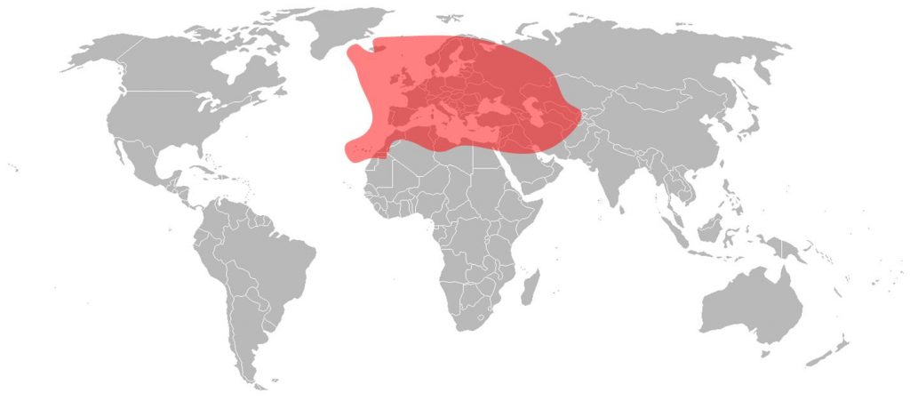 Astra 4A - Europe Ku-Band Beam