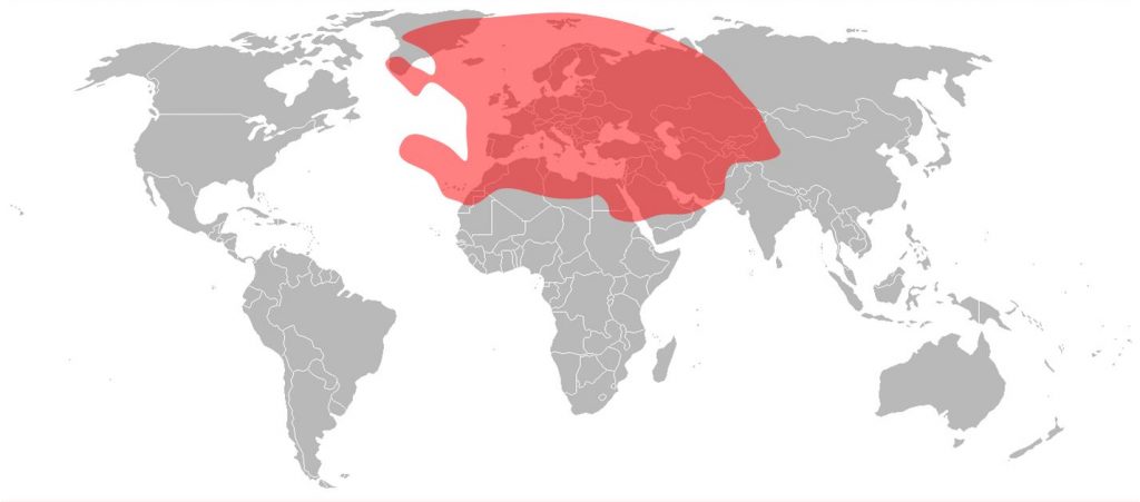 Eutelsat 7A Ku-Band Europe - A Beam