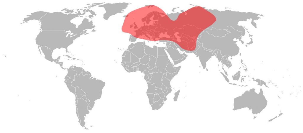 Turkmenalem 52°E Ku-Band West Beam